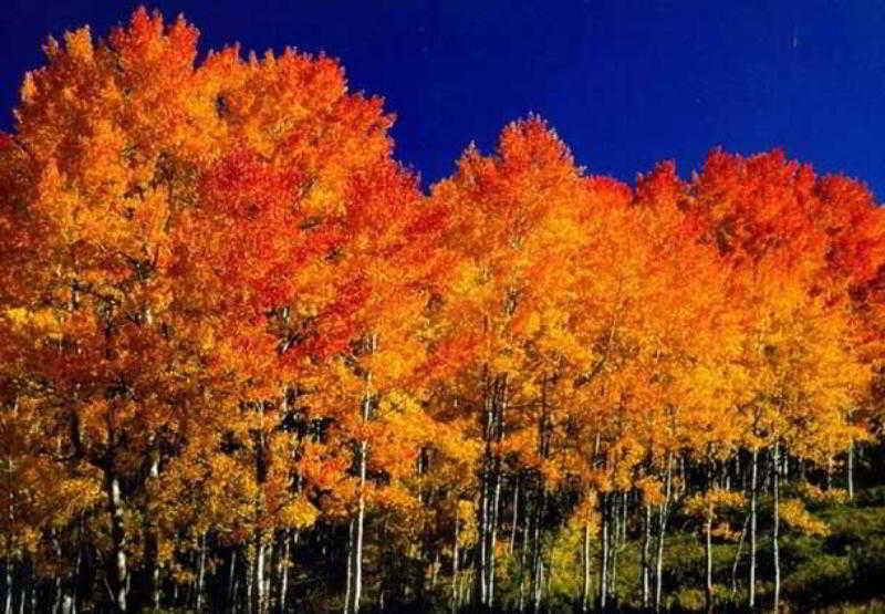 Fairfield Inn And Suites By Marriott Colorado Springs North Air Force Academy Gleneagle Eksteriør bilde