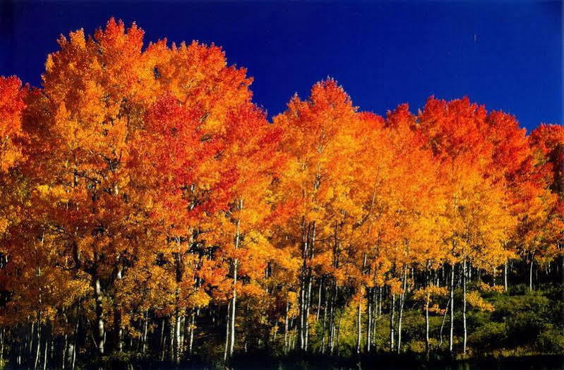 Fairfield Inn And Suites By Marriott Colorado Springs North Air Force Academy Gleneagle Eksteriør bilde